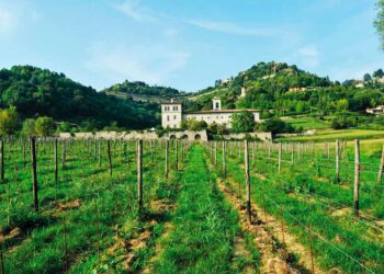 al-via-la-rassegna-crocevia-sentieri-e-autori-che-si-incontrano