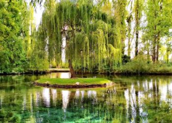 campello-sul-clitunno-“festa-dei-frantoi-e-dei-castelli”