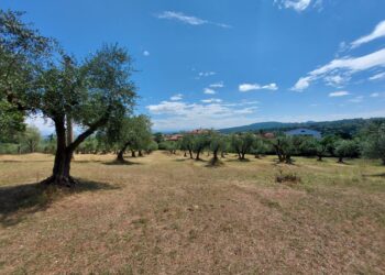 piano-strategico-nazionale-litalia-lo-presenta-a-bruxelles