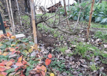 agriturismo-settembre-da-record