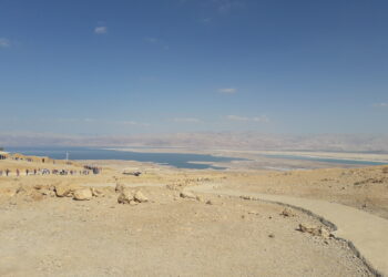 climate-change-meta-delle-specie-animali-a-rischio