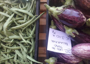 italia-il-biologico-non-conosce-crisi