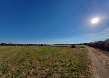 terreni-agricoli-calano-le-compravendite