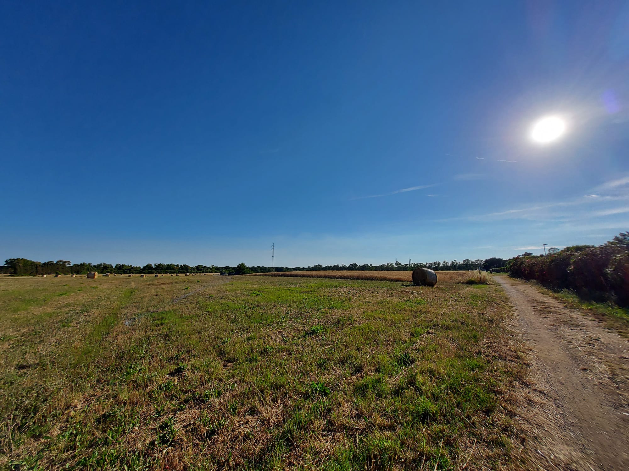 terreni-agricoli-calano-le-compravendite