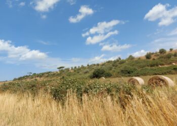 feasr-2023-2027-raggiunta-lintesa-in-conferenza-stato-regioni