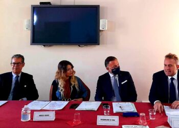 Serpillo: Farm to Fork non diventi Fork to Farm in mano a multinazionali. Pensare a ministero del Made in Italy