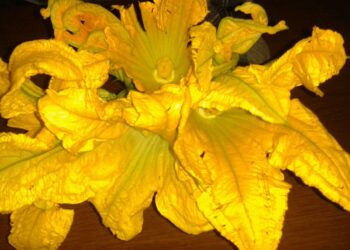 reati-alimentari-in-crescita-italiani-preoccupati