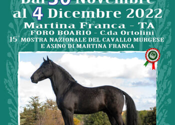 mercato-concorso-di-martina-franca-ledizione-67