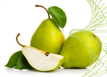 cina-sempre-piu-bio-e-sempre-e-piu-italia