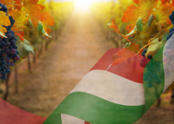 pandemia-lagroalimentare-tiene-e-vale-il-15-del-pil-nazionale