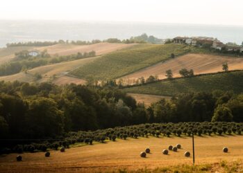 langa-cebana-il-piemonte-inedito-e-autentico