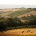 langa-cebana-il-piemonte-inedito-e-autentico