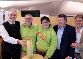 amatrice-asiago-dop-invia-500-kg-di-formaggio