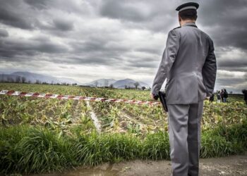 agromafie-business-da-24-miliardi