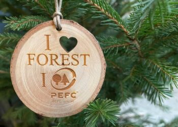 albero-di-natale-pefc-quello-vero-si-conferma-la-scelta-piu-sostenibile