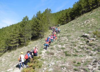 educazione-ambientale-i-progetti-del-cai-vincono-il-bando-del-ministero-dellambiente