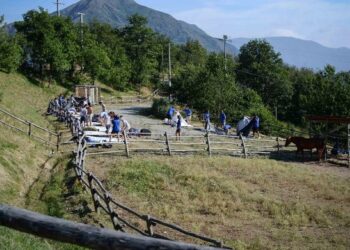 al-via-appenninolab-al-parco-capanne-di-marcarolo