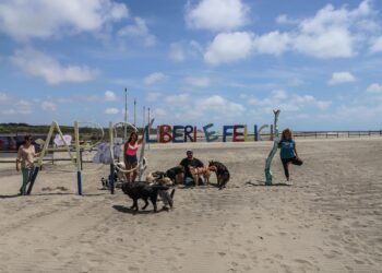 baubeach-a-maccarese-si-riapre