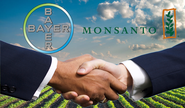 bayer---monsanto-fusione-ancora-non-perfezionata