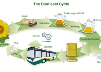 biodiesel-crescita-esponenziale-in-italia