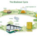 biodiesel-crescita-esponenziale-in-italia