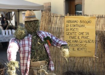 cadore-natura-torna-domenica-8-agosto