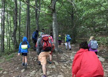 la-festa-del-viaggio-a-rimini