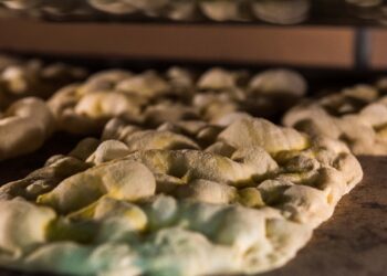 roma-ospita-il-primo-campionato-mondiale-di-pinsa-romana