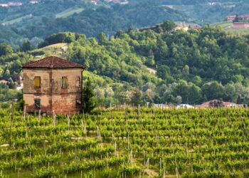 roero-days-31-marzo-–-1-aprile-a-bologna