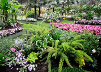 leuropa-fiorisce-a-cervia