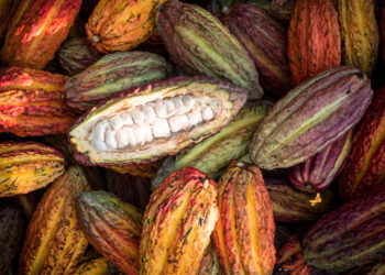 commercio-equo-e-solidale-vola-anche-nel-2021