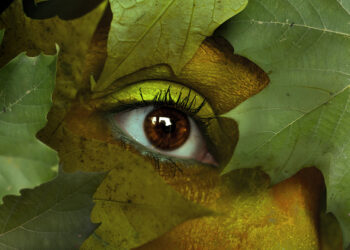 milano-sostenibile-–-4-osservatorio-sullo-stile-di-vita-dei-cittadini