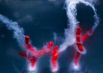 ambiente-la-coda-lunga-delle-microplastiche