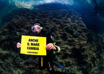 greenpeace-implentato-il-progetto-mare-caldo