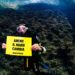 greenpeace-implentato-il-progetto-mare-caldo