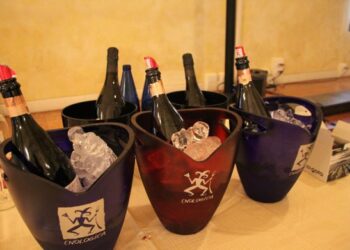 enologica-2016-a-bologna-il-salone-del-vino