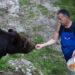 val-di-non-storia-di-amicizia-tra-orso-bruno-e-custode