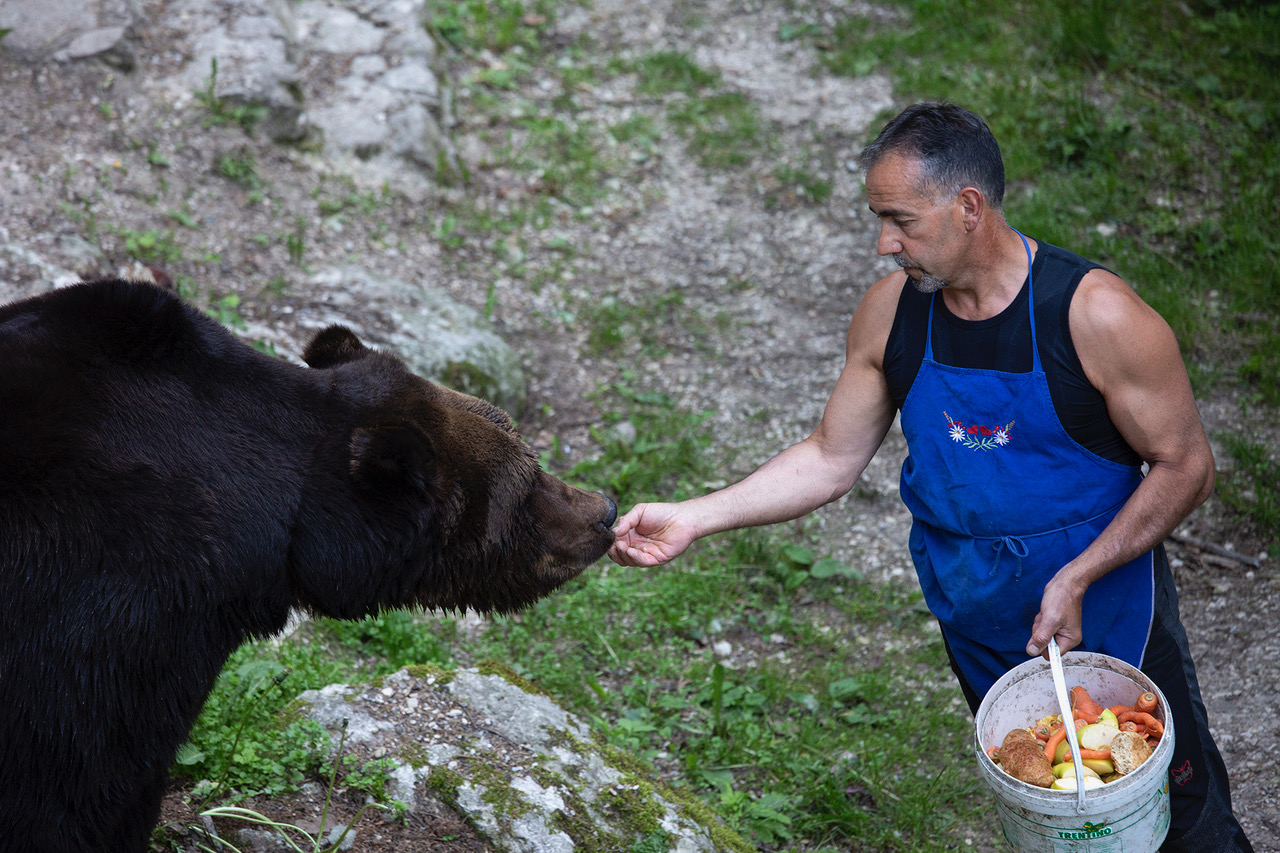 val-di-non-storia-di-amicizia-tra-orso-bruno-e-custode
