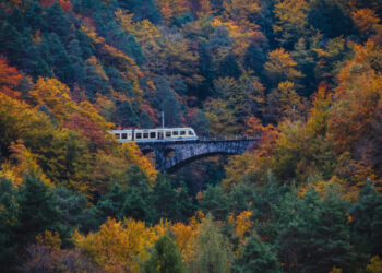 natura-cultura-avventura-e-grandi-eventi-in-attesa-del-centenario-della-ferrovia-vigezzina-centovalli