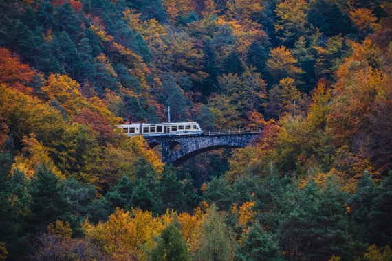 natura-cultura-avventura-e-grandi-eventi-in-attesa-del-centenario-della-ferrovia-vigezzina-centovalli