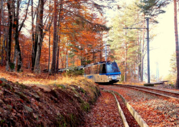 al-via-il-treno-del-foliage-un-viaggio-lento-tra-le-sfumature-dautunno