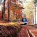 al-via-il-treno-del-foliage-un-viaggio-lento-tra-le-sfumature-dautunno