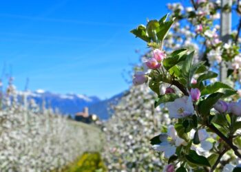 la-primavera-in-val-di-non
