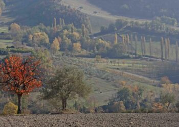 autunno-il-foliage-nelle-marche