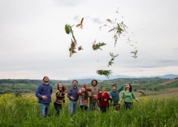 restartapp-fino-al-17-aprile-per-candidarsi-allincubatore-per-giovani-imprenditori