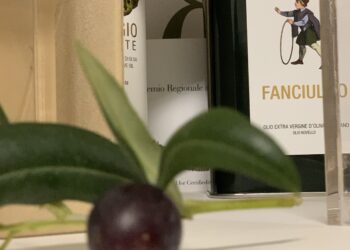 in-umbria-loleoturismo-di-qualita-fa-tappa-a-todi-orvieto-ed-amelia
