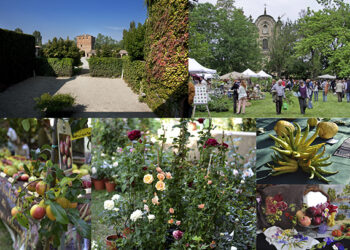 pontenure-di-scena-i-frutti-antichi