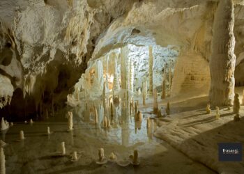 insegnanti-italiani-a-lezione-di-ambiente