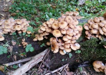 agriturismo-italiano-modello-da-seguire