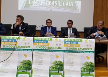 consumo-del-suolo-cerciello-renna-agriethos-basilicata-paradigma-del-fenomeno-in-italia